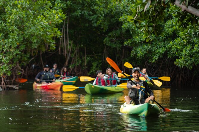Bioluminescent Bay Night Kayaking Adventure in Puerto Rico - Is $80 a Fair Price?