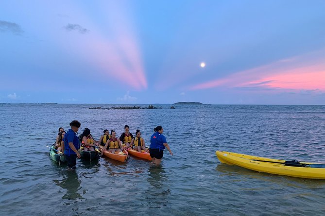 Bioluminescent Bay Night Kayaking, Fajardo - Key points to know before you book