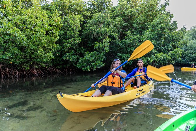 Bioluminescent Bay Night Kayaking, Fajardo - What makes Laguna Grande worth seeing at night