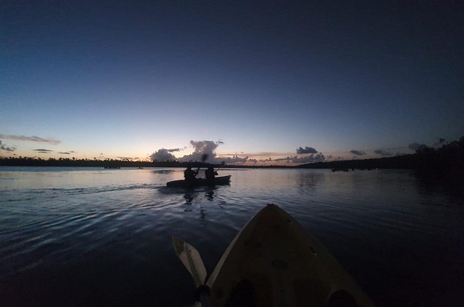 Bioluminescent Bay Night Kayaking, Fajardo - Through the mangrove reserve in darkness