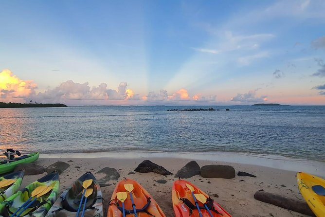 Bioluminescent Bay Night Kayaking, Fajardo - Is $79 a fair price?