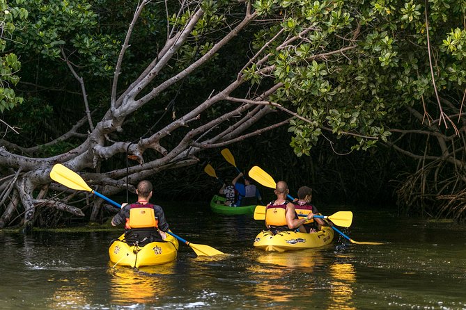 Bioluminescent Bay Night Kayaking, Fajardo - Who will enjoy this most?