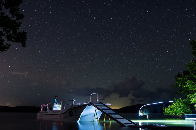 Bioluminescent Boat Tour in Mosquito Bay, Vieques - Key points to know before booking