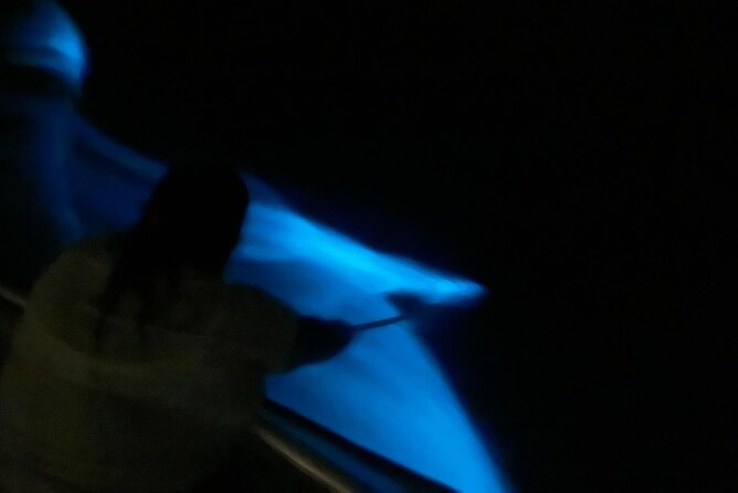 Bioluminescent Boat Tour in Mosquito Bay, Vieques - Stars, weather, and the best night to go