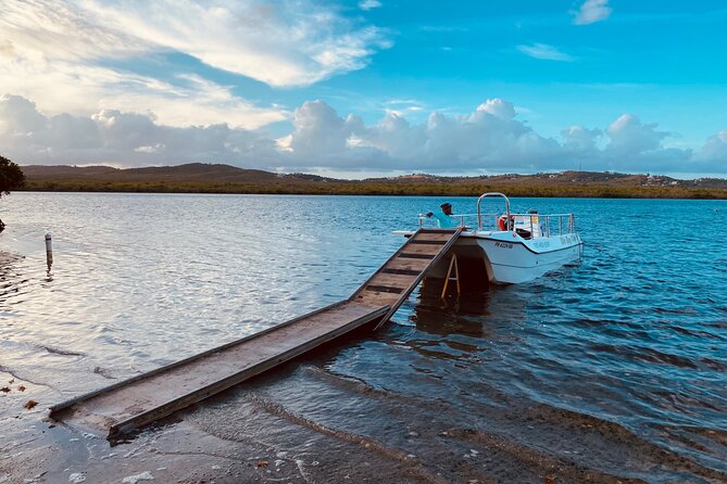 Bioluminescent Boat Tour in Mosquito Bay, Vieques - Is $100 a fair price?