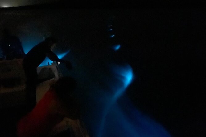 Bioluminescent Boat Tour in Mosquito Bay, Vieques - Who will enjoy this short night tour?