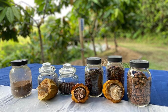 Cacao Walking Tour in Puerto Rico - Why this Moca cacao farm is worth your time