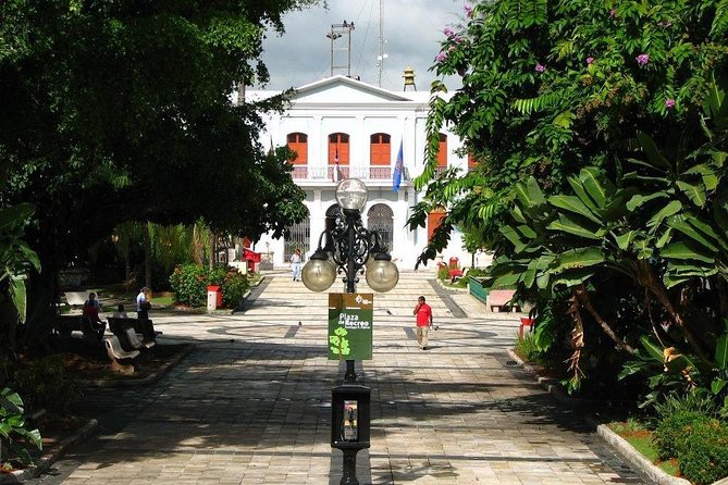 Caguas Cultural Day Trip from San Juan Including Botanical Garden and Lunch - William Miranda Marín Garden: plants with a cultural purpose
