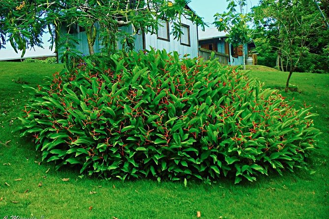 Caguas Cultural Day Trip from San Juan Including Botanical Garden and Lunch - Three compact museums with different angles