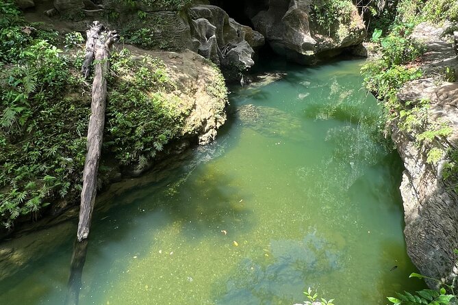 Cave Adventure: Canyon and Hidden Waterfall in Charco Azul - Abdiel’s role and the value of a local guide