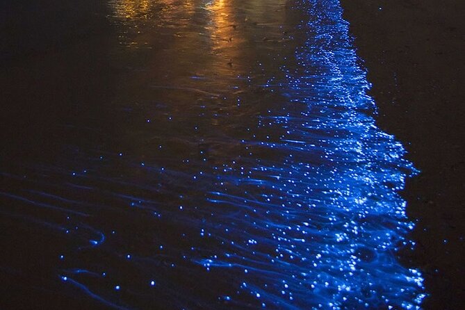 CLEAR BOTTOM KAYAKS Tour in Bioluminescent, Mosquito Bay - Quick take: what makes this tour worth considering