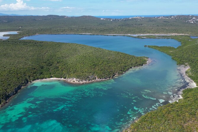 CLEAR BOTTOM KAYAKS Tour in Bioluminescent, Mosquito Bay - Price and what the $66.67 includes