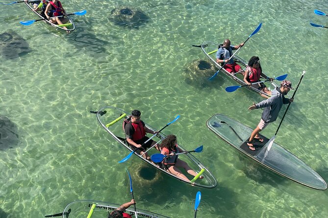 Clear Kayak Tour in Condado Lagoon - Key Details Before You Book