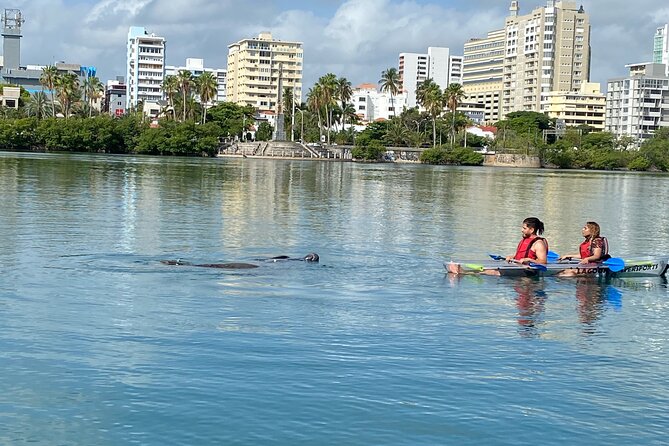 Clear Kayak Tour in Condado Lagoon - Photos, Weather, and the Real Pace