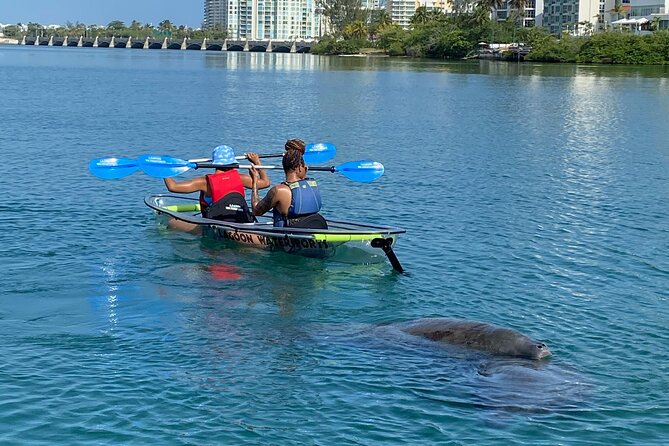 Clear Kayak Tour in Condado Lagoon - Is $59 a Fair Price?
