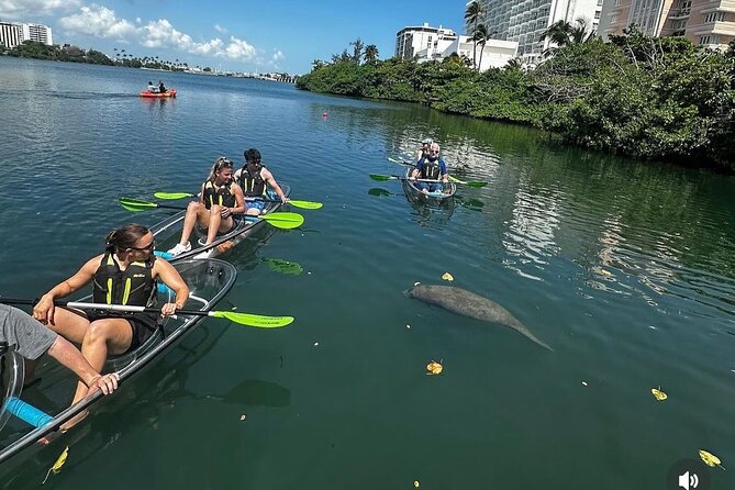 Clear Kayak Tour in Condado Lagoon - Learning to Handle the Clear Kayak