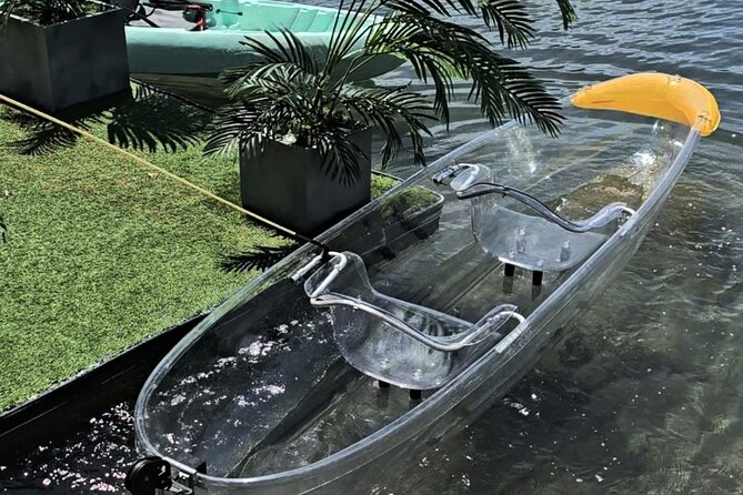 Clear LED Kayaking in Condado Lagoon - Who will enjoy this most