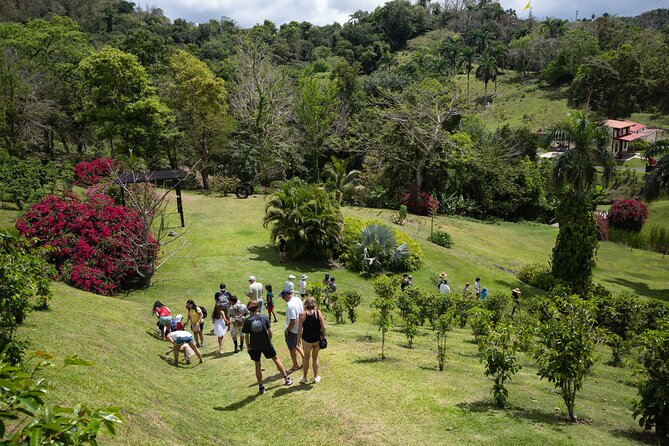 Coffee Plantation and River with Waterfalls in Puerto Rico - Why this six-hour outing works