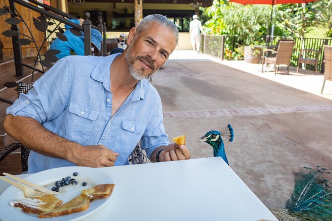 Coffee Plantation and River with Waterfalls in Puerto Rico - Starting at 8:30 a.m. in San Juan
