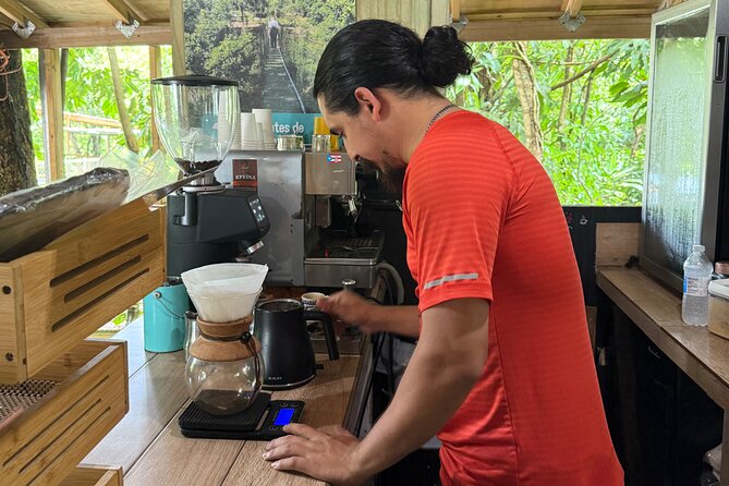 Coffee & Waterfalls Tour: from the mountains to the cup - Toro Negro State Forest and Río La Planta