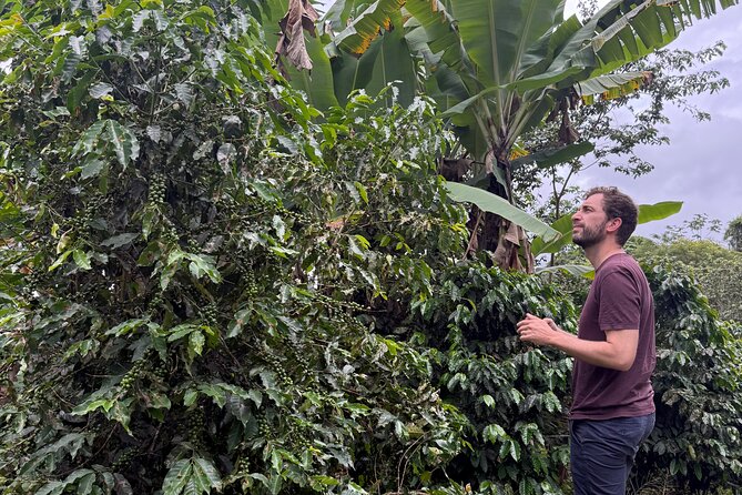 Coffee & Waterfalls Tour: from the mountains to the cup - Practical planning for this mountain outing