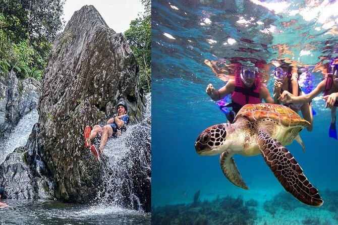 Combo El Yunque Rainforest and San Juan Snorkeling with Transport - Five things to know before you book