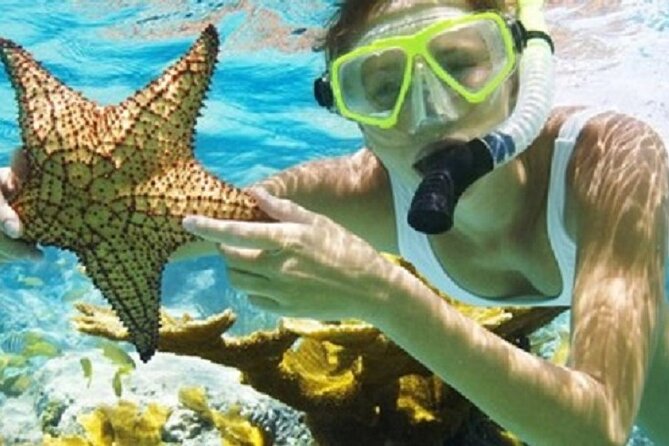 Combo El Yunque Rainforest and San Juan Snorkeling with Transport - Why combine El Yunque and shore snorkeling?