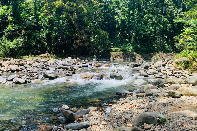 Concrete Jungle to the Actual Jungle, The Complete Package Tour - Along the coast: quick views with a local feel