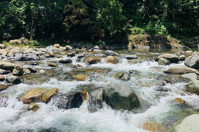Concrete Jungle to the Actual Jungle, The Complete Package Tour - Food stops and the taste of rural Puerto Rico