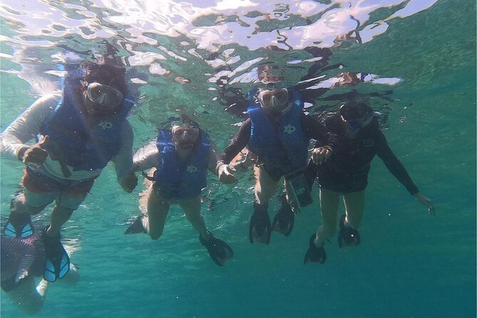 Coral Reef and Sea Turtle Snorkeling Experience - Key points at a glance