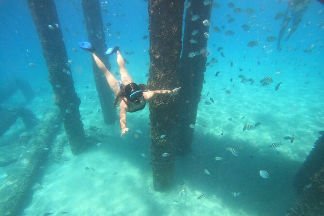 Coral Reef Snorkel Adventure with Photos and Videos - Key points before you book