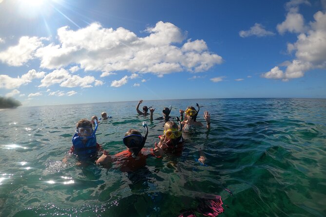 Coral Reef Snorkel Adventure with Photos and Videos - What the guides add to the experience