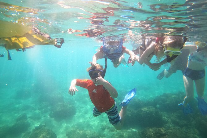 Coral Reef Snorkel Adventure with Photos and Videos - Photos and videos are a useful bonus