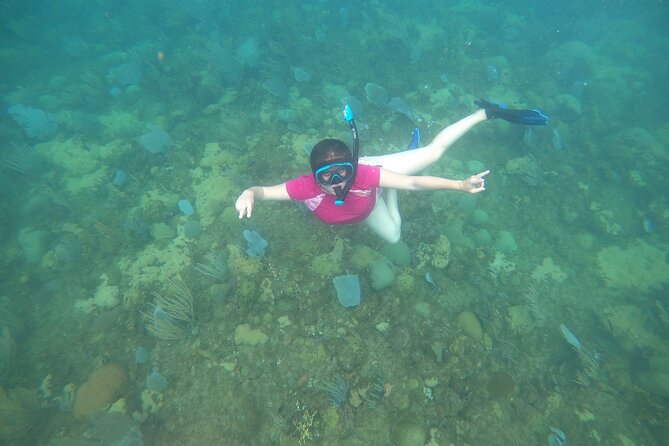 Coral Reef Snorkel Adventure with Photos and Videos - Is $50 a good value?