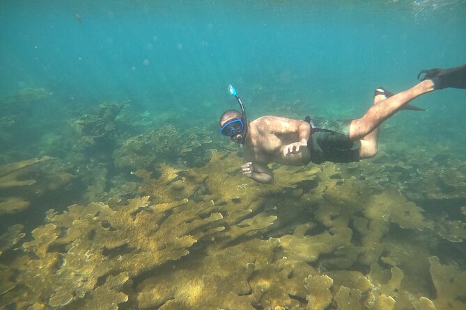 Coral Reef Snorkel Adventure with Photos and Videos - Who will get the most from this outing?