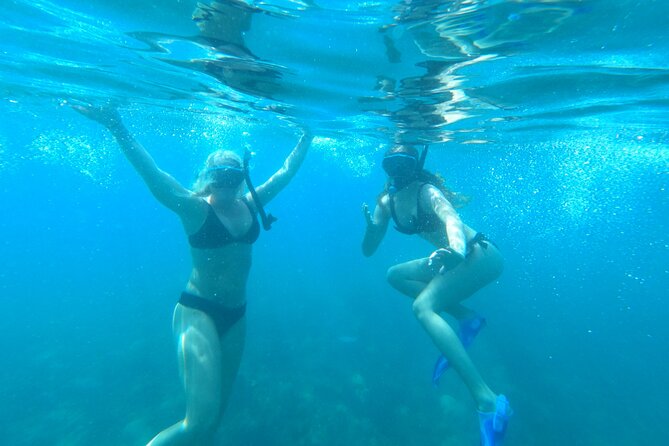 Coral Reef Snorkel Adventure with Photos and Videos - Weather, cancellations, and useful planning advice