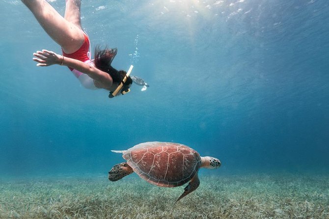Culebra Snorkel and Turtle Adventure with Transport - Why This Culebra Day Trip Takes Nine Hours