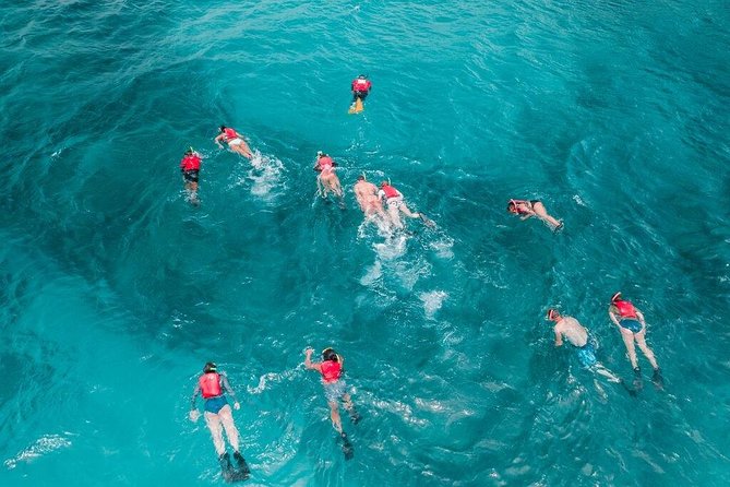 Culebra Snorkel and Turtle Adventure with Transport - What the Water Is Really Like