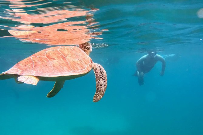 Culebra Snorkel and Turtle Adventure with Transport - Tamarindo Beach and the Luis Peña Marine Reserve