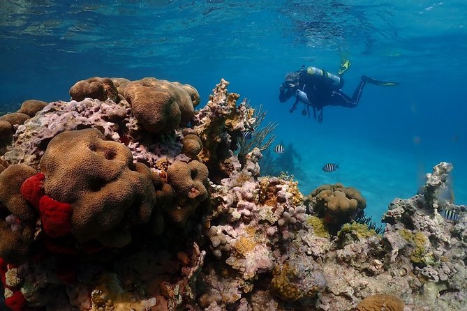 Culebra Snorkeling and beach Day Experience by boat - The one-hour ride toward Culebra
