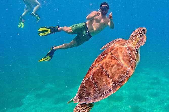 Culebra Swim with Turtles Adventure and Flamenco Beach by Ferry - The real shape of this Culebra day trip