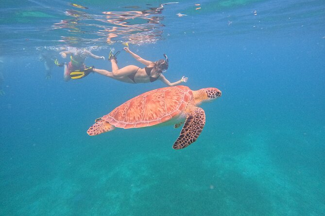 Culebra Swim with Turtles Adventure and Flamenco Beach by Ferry - Tamarindo Beach: turtle snorkeling from shore