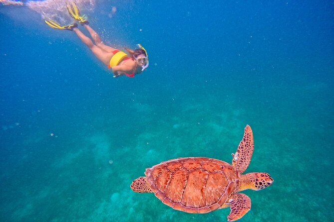 Culebra Swim with Turtles Adventure and Flamenco Beach by Ferry - Getting around Culebra without planning every transfer
