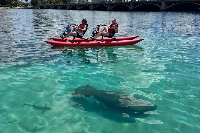 Day Adventure Chiliboats Waterbike – Condado Lagoon - The 45-minute route: history, views, and open water
