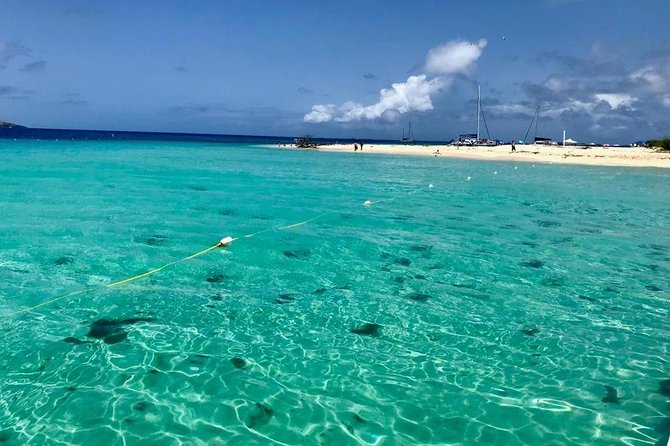 Day Sail without transportation - Snorkeling with reef fish and identification charts