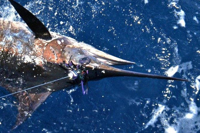 Deep Sea Fishing Private Boat Charter in San Juan - The honest catch: fishing is not catching