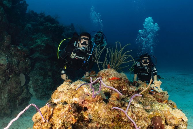 Discover Culebra: 2-Tank Scuba Diving - Key Points at a Glance
