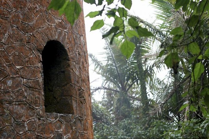 Discover El Yunque National Park: Half-Day Rainforest Tour - What this five-hour El Yunque tour is really offering
