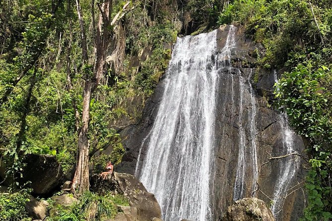 Discover El Yunque National Park: Half-Day Rainforest Tour - La Coca Falls: the easiest major photo stop
