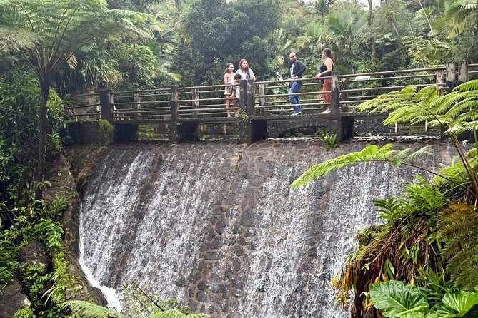 Discover El Yunque National Park: Half-Day Rainforest Tour - The guide can turn a simple drive into a real lesson